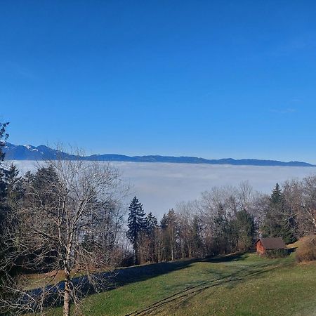 Gemuetliche Wohnung Mit Talblick Batschuns Esterno foto