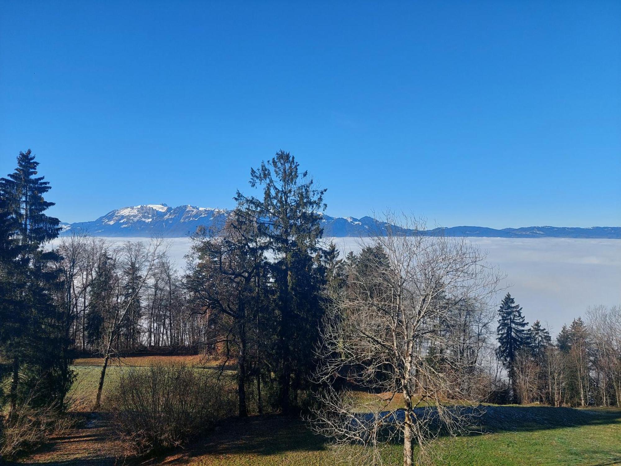 Gemuetliche Wohnung Mit Talblick Batschuns Esterno foto