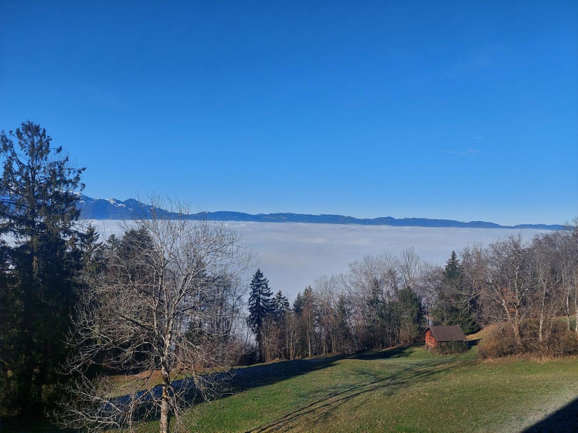 Gemuetliche Wohnung Mit Talblick Batschuns Esterno foto
