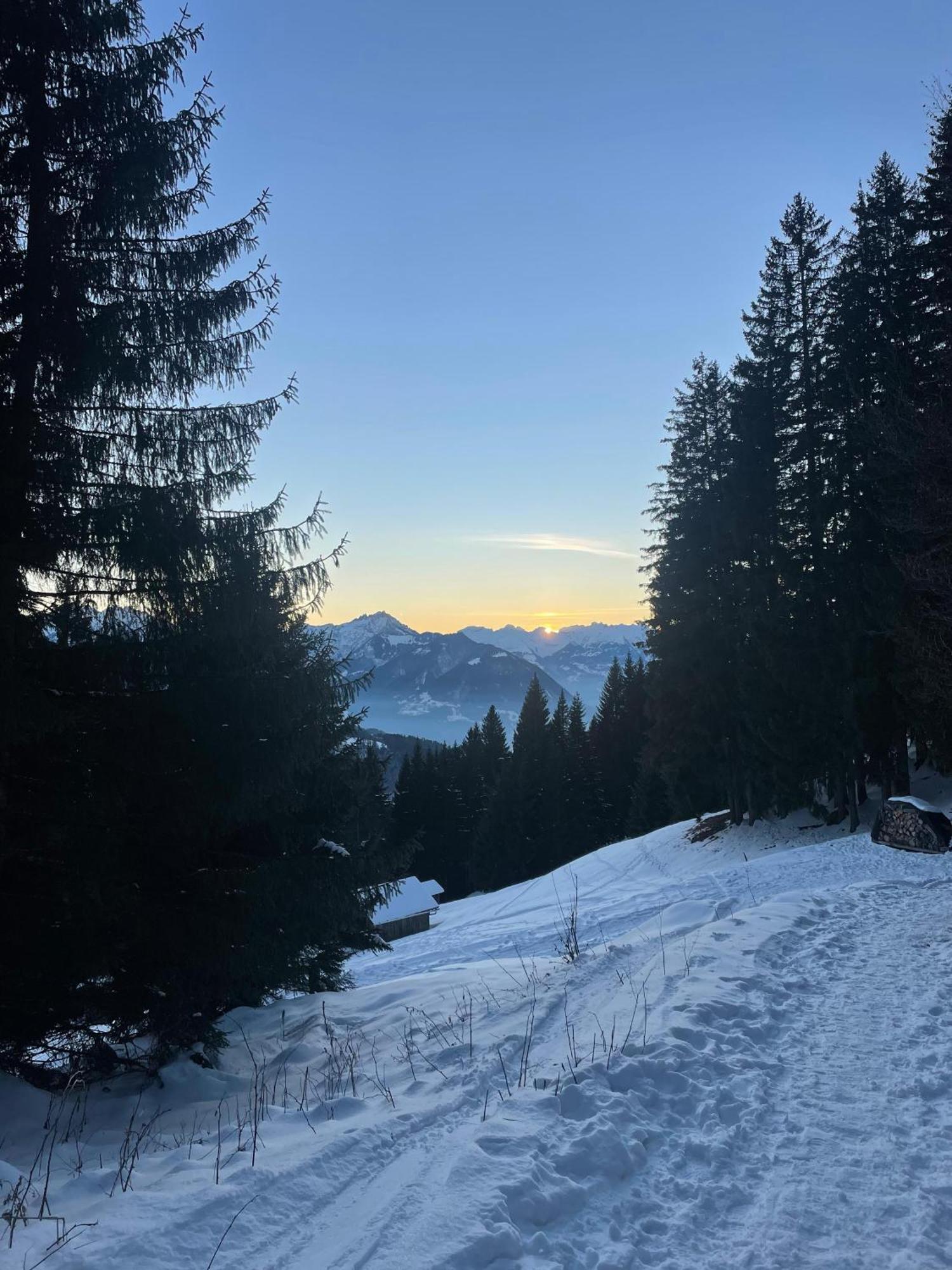 Gemuetliche Wohnung Mit Talblick Batschuns Esterno foto